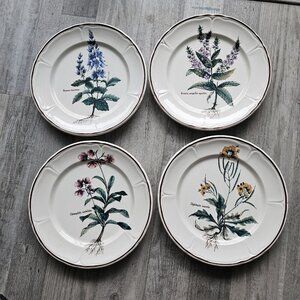 Plates Italy Botanical Floral 9.5" Brown Rim. 4 Patterns! Set Of 4